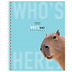 Тетрадь А5 48 л. HATBER гребень, клетка, Soft-touch ламинация, "Кто здесь?" (микс в спайке), 093578, 48Т5лВ1гр