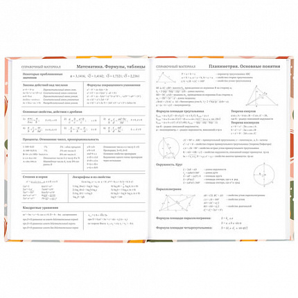 Дневник 5-11 класс 48 л., твердый, BRAUBERG, глянцевая ламинация, с подсказом, "Decor", 106403