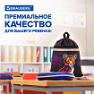 Мешок для обуви BRAUBERG, с петлей, светоотражающая полоса, 2 отделения, 46х36 см, "Леопард", 272395