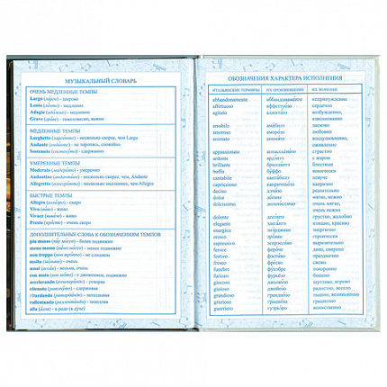 Дневник для музыкальной школы 140х210 мм, 48 л., твердый, BRAUBERG, выборочный лак, справочный материал, "Симфония", 103601