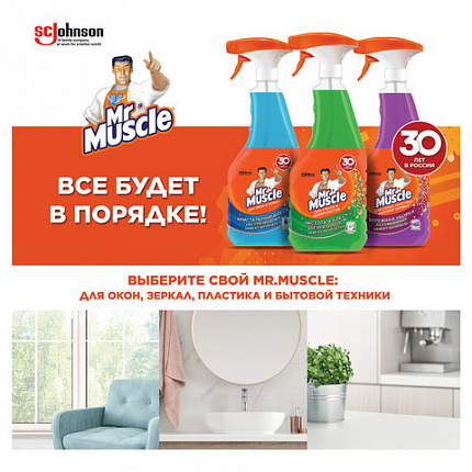 Средство для мытья стекол и зеркал 530 мл, МИСТЕР МУСКУЛ "Утренняя роса", распылитель