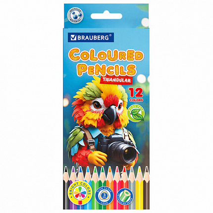 Карандаши цветные "АССОРТИ 8 ДИЗАЙНОВ 7+ лет", 12 цветов, трехгранные, BRAUBERG, 182056