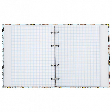 Тетрадь на кольцах А5 (165х215 мм), 120 листов, твердый картон, клетка, BRAUBERG, Щеглы, 404079