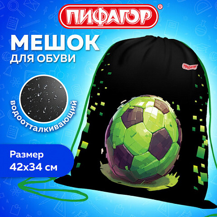 Мешок для обуви ПИФАГОР, 1 отделение, 42х34 см, "Вне сети", 273424