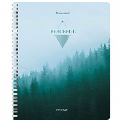 Тетрадь А5 96 л. BRAUBERG, гребень, клетка, обложка картон, "Безмятежность" (микс в спайке), 404423
