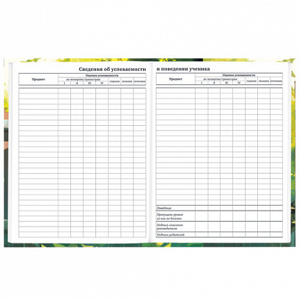 Дневник 1-11 класс 40 л., твердый, BRAUBERG, глянцевая ламинация, "Девочка и кот", 107166