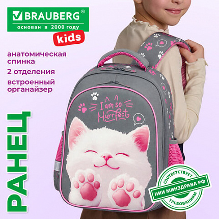 Ранец BRAUBERG KIDS STANDARD, 2 отделения, "Кот-мурлыка", 36х28х14 см, 274427