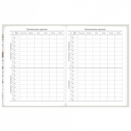 Дневник 5-11 класс 48 л., твердый, BRAUBERG, глянцевая ламинация, с подсказом, "Котик", 107188