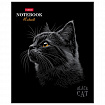 Тетрадь А5, 48 л., HATBER, скоба, клетка, матовая ламинация, 3D-лак, "Black Cat" (микс в спайке), 093159, 48Т5лолВ1