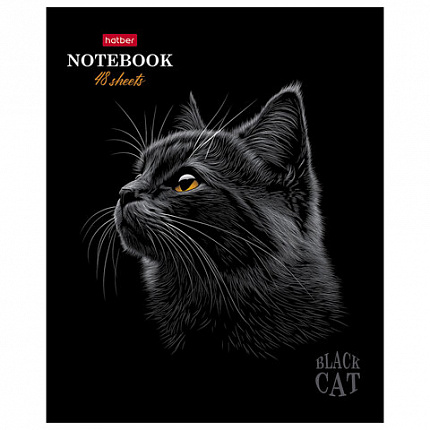 Тетрадь А5, 48 л., HATBER, скоба, клетка, матовая ламинация, 3D-лак, "Black Cat" (микс в спайке), 093159, 48Т5лолВ1