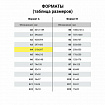 Скоросшиватель пластиковый с перфорацией BRAUBERG EXTRA, А4, 140/180 мкм, фиолетовый, 272897