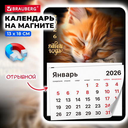 Календарь отрывной на магните на 2026 г., BRAUBERG, 130x180 мм, склейка, "Котик", 117289
