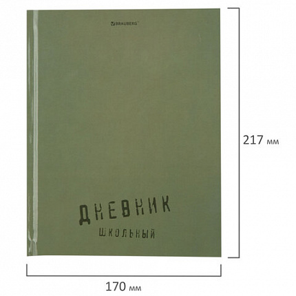 Дневник 1-11 класс 40 л., твердый, BRAUBERG, глянцевая ламинация, "Однотонный", 107607