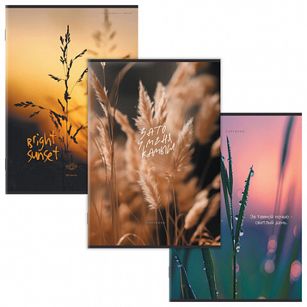 Тетрадь А4 80 л. STAFF College скоба, клетка, офсет №2 ЭКОНОМ, обложка картон, ПРИРОДА, 405617