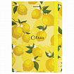 Блокнот с резинкой без линовки 96 л., А5 (145х203 мм), твердая обложка, BRAUBERG, "Lemons", 113727