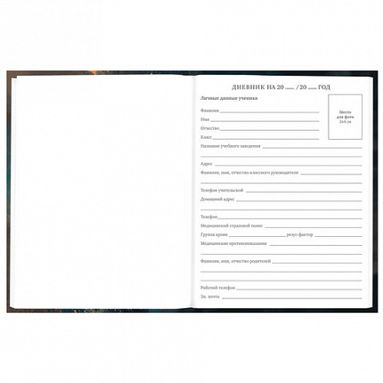 Дневник 5-11 класс 48 л., гибкая обложка, BRAUBERG, глянцевая ламинация, с подсказом, "Cat", 107181