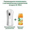 Сменный баллон 250 мл, AIRWICK "Анти-табак. Апельсин/бергамот", для автоматических освежителей, универсальный, 224392
