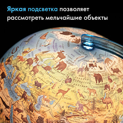 Глобус интерактивный + очки VR, зоогеографический, GLOBEN, 25см, с подсветкой, INT12500306