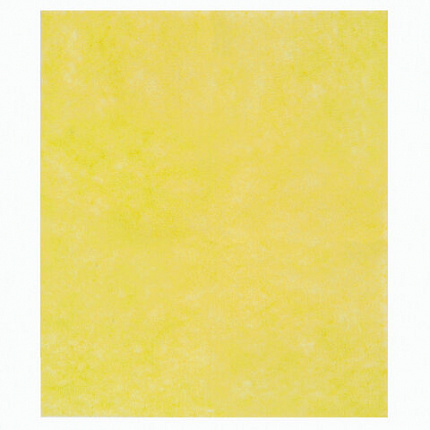 Салфетки ВИСКОЗНЫЕ универсальные MEGA, 30х38 см, КОМПЛЕКТ 5 шт., 90 г/м2, желтые, LAIMA, К4083, 601562