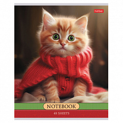 Тетрадь А5 48 л., HATBER скоба, клетка, обложка картон, "Котики-артисты" (микс в спайке), 085664, 48Т5В1