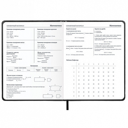 Дневник 1-11 класс 48 л., кожзам (твердая с поролоном), нашивка, BRAUBERG IGUANA, черный, 107225