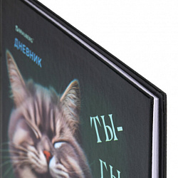 Дневник 5-11 класс 48 л., твердый, BRAUBERG, глянцевая ламинация, с подсказом, "Ты-Гы-Дык", 107184