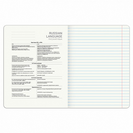 Тетрадь предметная PIGMENT 48 л., глянцевый УФ-лак, РУССКИЙ ЯЗЫК, линия, подсказ, BRAUBERG, 404767