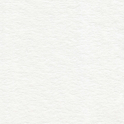 Бумага для акварели А4, 10 л., 200 г/м2, 210х297 мм, BRAUBERG, "Южный городок", 111070