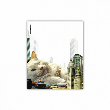 Обложки ПП для тетрадей и дневников ERICH KRAUSE "Big City Cats", КОМПЛЕКТ 12 шт., 80 мкм, 212х347 мм, 63508