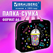 Папка на молнии с ручками BRAUBERG А4, 1 отделение, полиэстер, 80 мм, "Лимонад", 271480