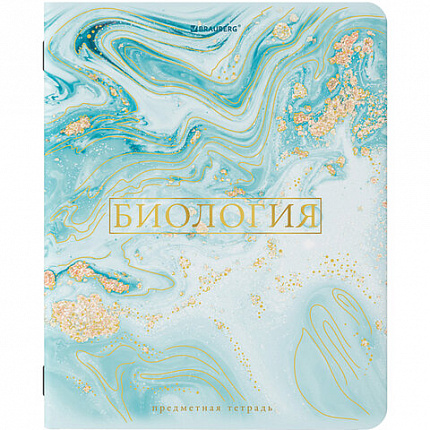 Тетради предметные со справочным материалом, КОМПЛЕКТ 10 ПРЕДМЕТОВ, 48 л., SoftTouch, фольга, BRAUBERG, "PASTEL", 404031