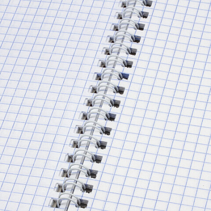 Тетрадь А4, 120 л., BRAUBERG гребень, клетка, обложка картон, "Seasons", 404071