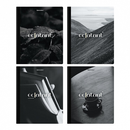 Тетрадь А5 96л. BRAUBERG на сшивке с корешком, клетка, обложка картон, Simplicity, 405288