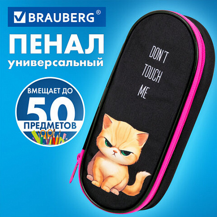 Пенал-футляр BRAUBERG, 1 отделение, органайзер, полиэстер, 22x9х5 см, "Сердитый котенок", 273566