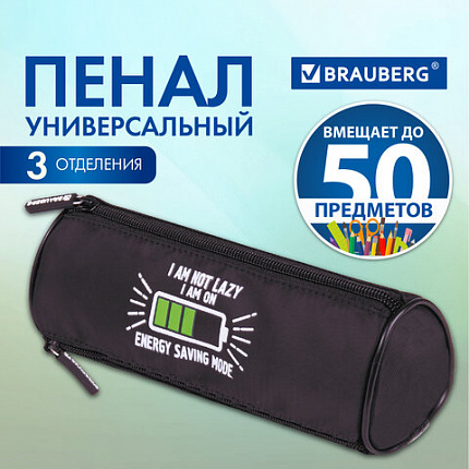 Пенал мягкий BRAUBERG, 3 отделения, нейлон, 21х7х7 см, "Батарейка", 270843