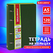 Тетрадь на кольцах А5 (180х220 мм), 120 листов, под кожу, клетка, BRAUBERG "Joy", зелёный/светло-зелёный, 129991
