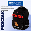 Рюкзак BRAUBERG MOTION, 2 отделения, 3 кармана, "Капибара", СВЕТЯЩИЙСЯ, 41х28х17 см, 272032