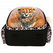Ранец BRAUBERG STABLE, 2 отделения, с брелком, "Curious leopard", 36х28х16 см, 274387