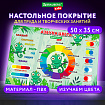 Настольное покрытие BRAUBERG KIDS для труда и творческих занятий, ПВХ, "Цветовая палитра", 50х35 см, 272360