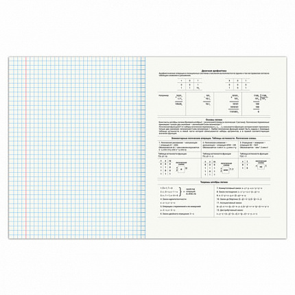 Тетрадь предметная SPORT CLUB 48л, обложка картон, ИНФОРМАТИКА, клетка, подсказ, BRAUBERG, 404800
