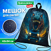 Мешок для обуви BRAUBERG KIDS, с петлей, 42х34 см, "Дино-погоня", 272416