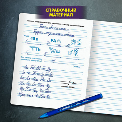 Тетрадь ПРОПИСЬ № 5 12 л. узкая линия, со справочным материалом, обложка картон, ЮНЛАНДИЯ, 404850