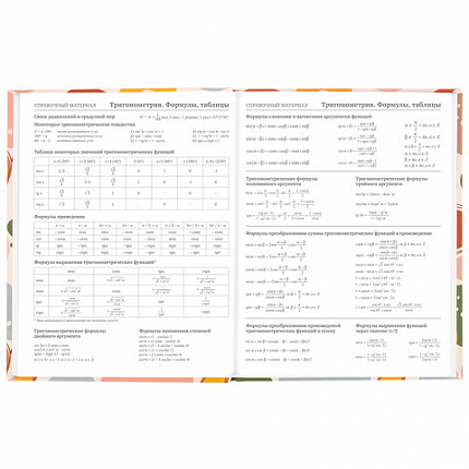 Дневник 5-11 класс 48 л., твердый, BRAUBERG, глянцевая ламинация, с подсказом, "Decor", 106403