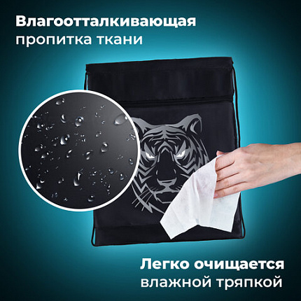 Мешок для обуви BRAUBERG, с петлёй, карман на молнии, 47х37 см, "Tiger", 271610