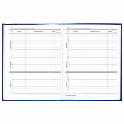 Дневник 5-11 класс 48 л., твердый, BRAUBERG, глянцевая ламинация, с подсказом, "Символика", 106878