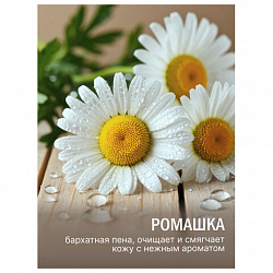 Мыло-крем туалетное 90 г, ЛЕСНАЯ ПОЛЯНКА "Ромашка", натуральная основа, 1100-2