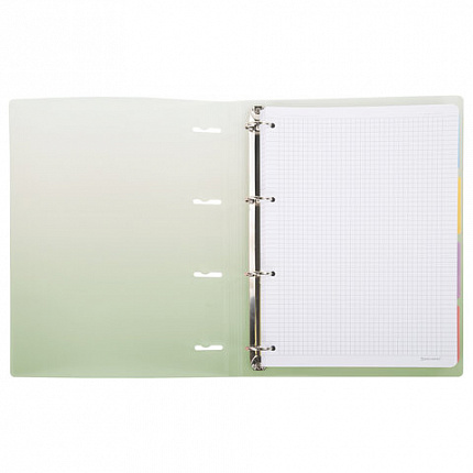 Тетрадь на кольцах БОЛЬШАЯ 305х230мм А4, 120л, пластик, с разделителями, BRAUBERG, Зеленый, 404625