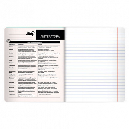 Тетрадь предметная КОТ-НЕПОСЕДА 48л, пластиковая обложка, ЛИТЕРАТУРА, линия, подсказ, BRAUBERG, 405535