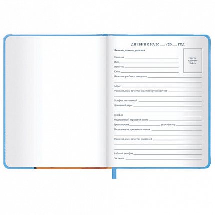 Дневник 1-11 класс 48 л., кожзам (твердая), печать, резинка, конверт, BRAUBERG, "Опять в школу", 107231