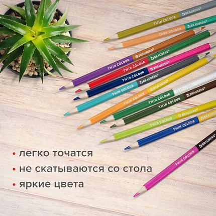 Карандаши цветные мягкие двусторонние BRAUBERG PREMIUM TWIN COLOUR, 24 штуки, 48 цветов, туба, 181876